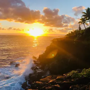 Wild Blue Water Pahoa