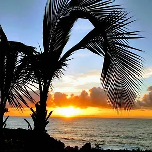 Paradise Palms Pahoa